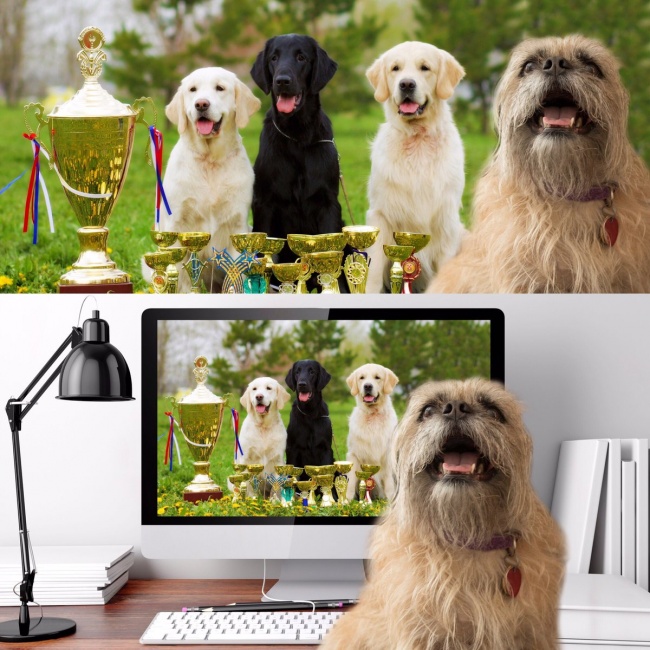 Illustration de l'article : 26 preuves qu’il est possible de faire dire n’importe quoi aux photos