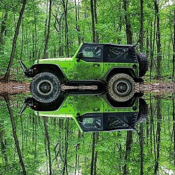 Illustration de l'article : Ces 21 photos qui feront plaisir à tous les perfectionnistes