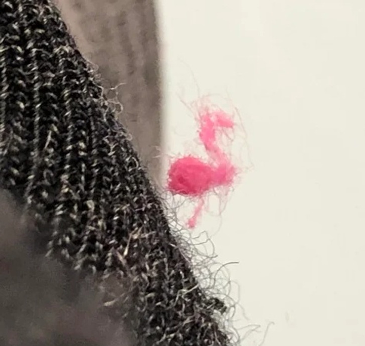 Illustration de l'article : Ces 19 photos qui illustrent les traits d'humour du quotidien