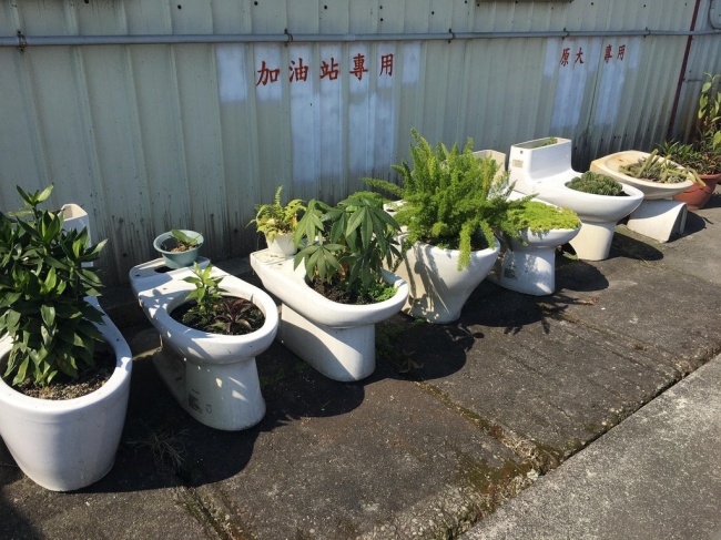 Illustration de l'article : 28 moments qui sortent de l'ordinaire capturés dans la vie quotidienne