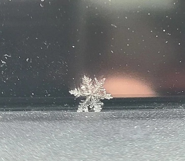 Illustration de l'article : Ces 19 photos qui illustrent les traits d'humour du quotidien