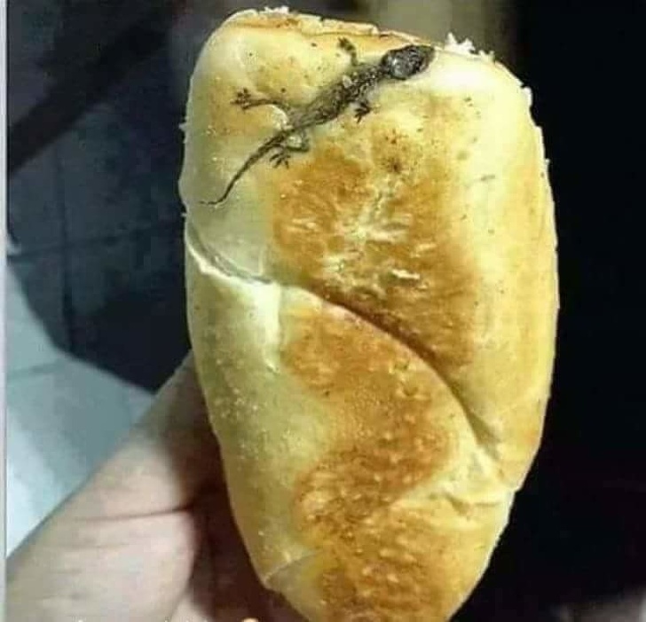 Illustration de l'article : Ces 25 moments gênants qui ressortiront au prochain repas de famille 