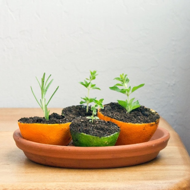 Illustration de l'article : 16 utilisations du citron que vous ignoriez certainement