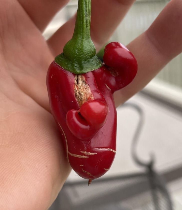 Illustration de l'article : Ces 17 personnes qui voient des visages là où il n'y en a pas