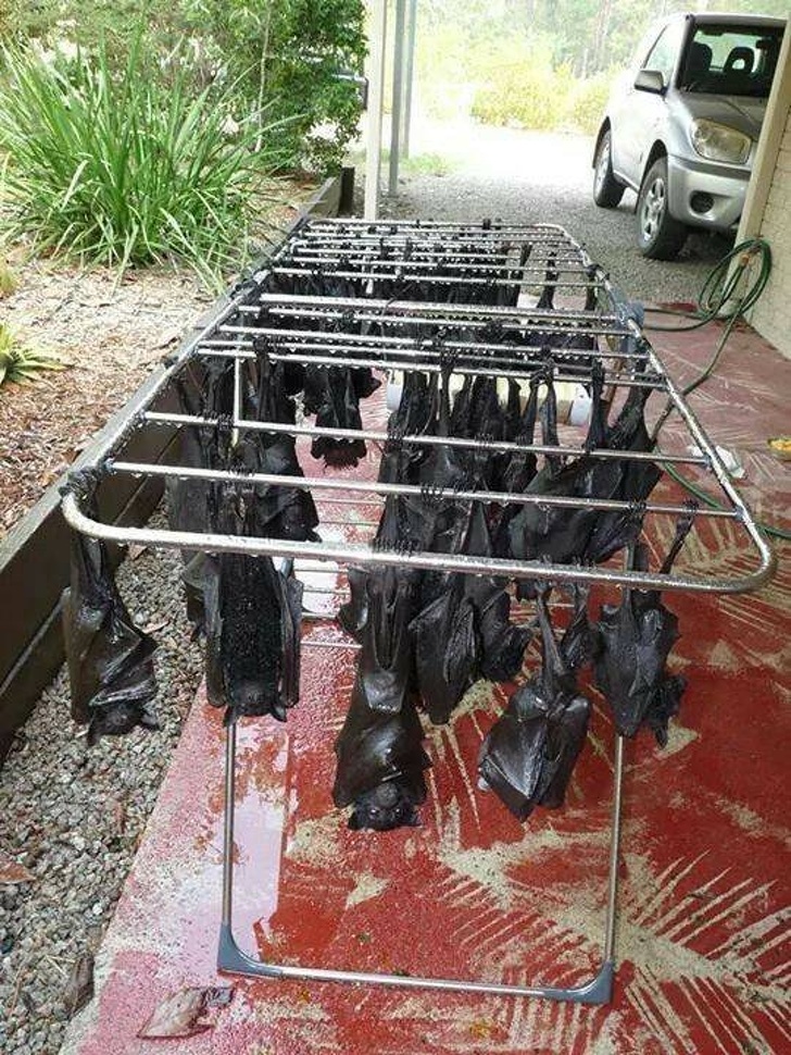 Illustration de l'article : Ces 15 photos qui remettent beaucoup de choses en question