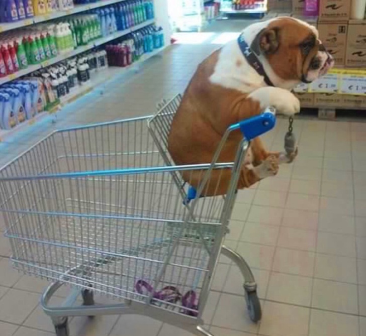 Illustration de l'article : Ces 20 situations que l'on ne peut observer que dans les magasins américains