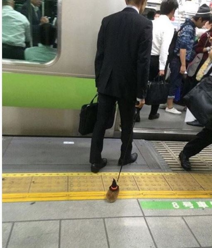 Illustration de l'article : Ces 14 photo qui remettent beaucoup de choses en cause