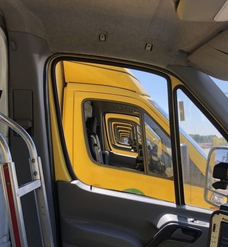 Illustration de l'article : Ces 22 photos qui se rapprochent de la perfection