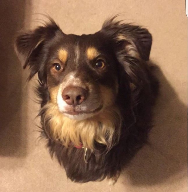 Illustration de l'article : 25 photos trompeuses qui nécessitent de la réflexion