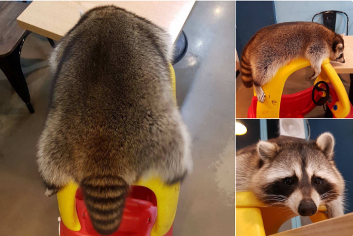 Illustration de l'article : Ces 22 photos de personnes touchées par la malchance dès le réveil