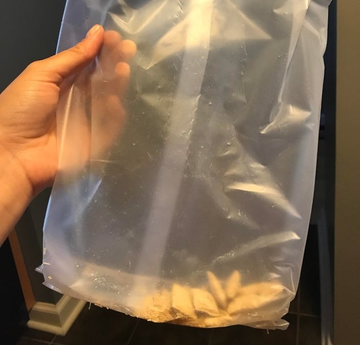 Illustration de l'article : Ces 21 conjoints qui ne s'impliquent pas dans la vie familiale