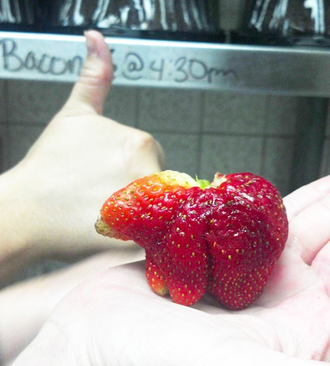 Illustration de l'article : 20 légumes étranges qui ressemblent à tout autre chose