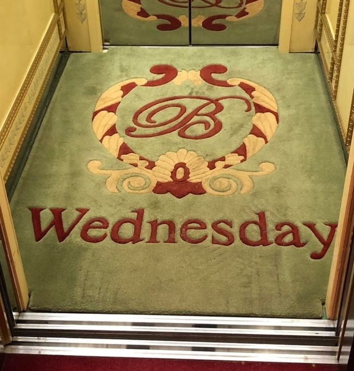 Illustration de l'article : Ces 20 photos qui montrent que les designers ont du talent