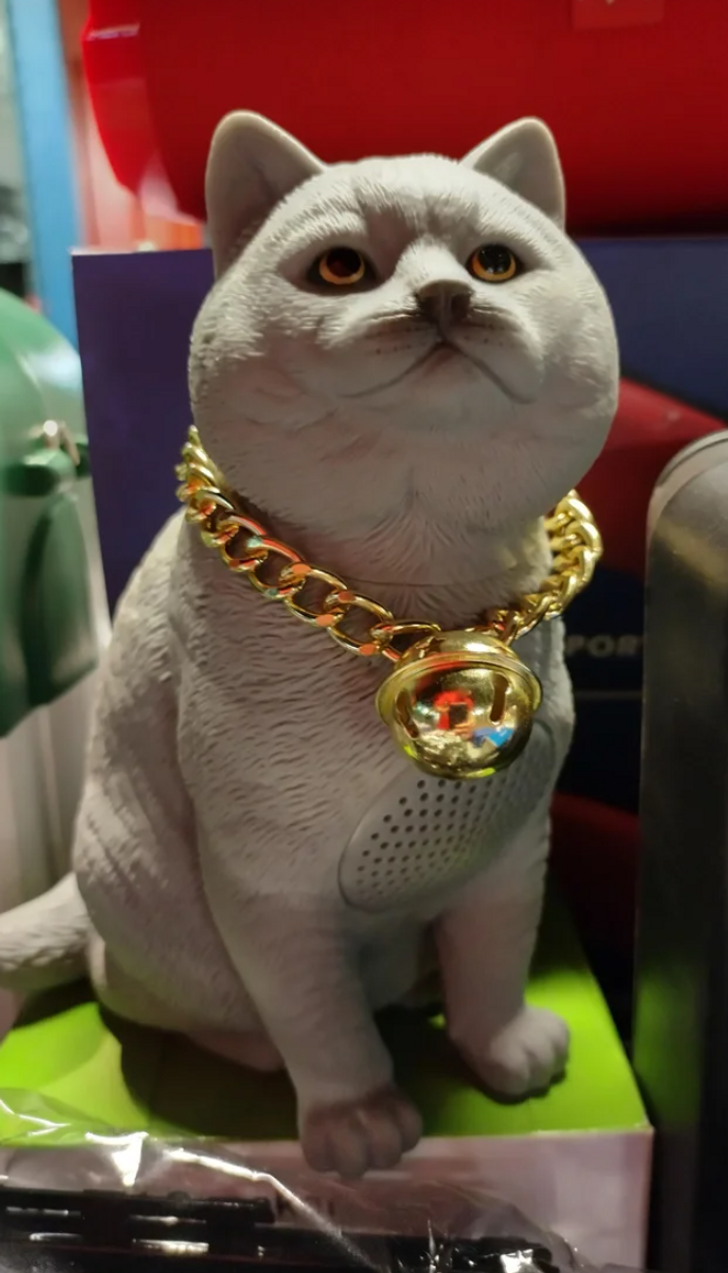 Illustration de l'article : Ces 16 designs qui ne seront pas au goût de tout le monde