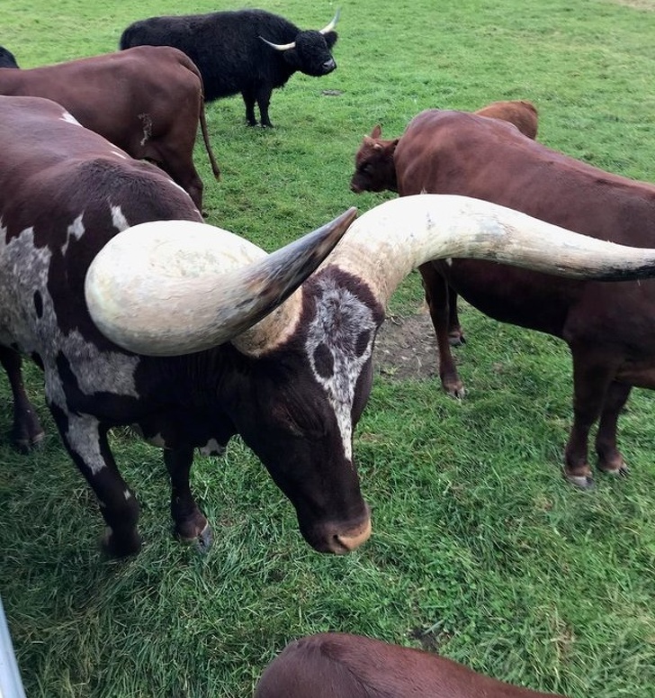 Illustration de l'article : Ces 23 situations où le hasard a bien fait les choses