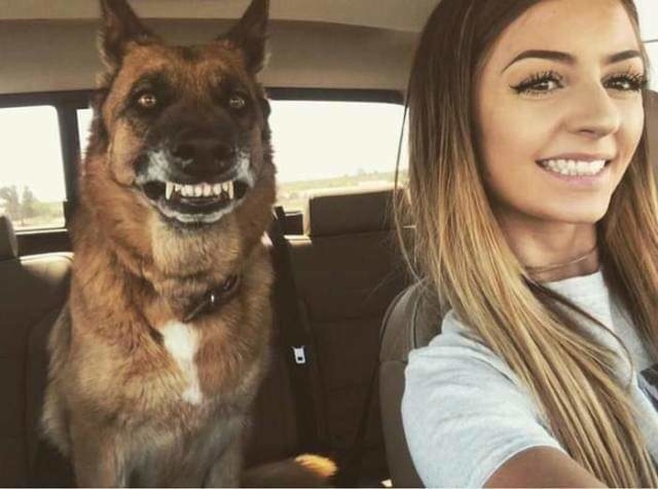 Illustration de l'article : Ces 23 situations où le hasard a bien fait les choses