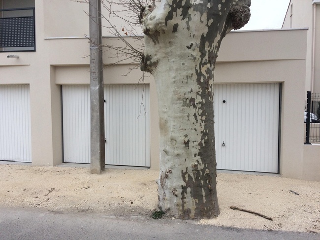 Illustration de l'article : Ces 21 personnes qui prennent la vie comme elle vient