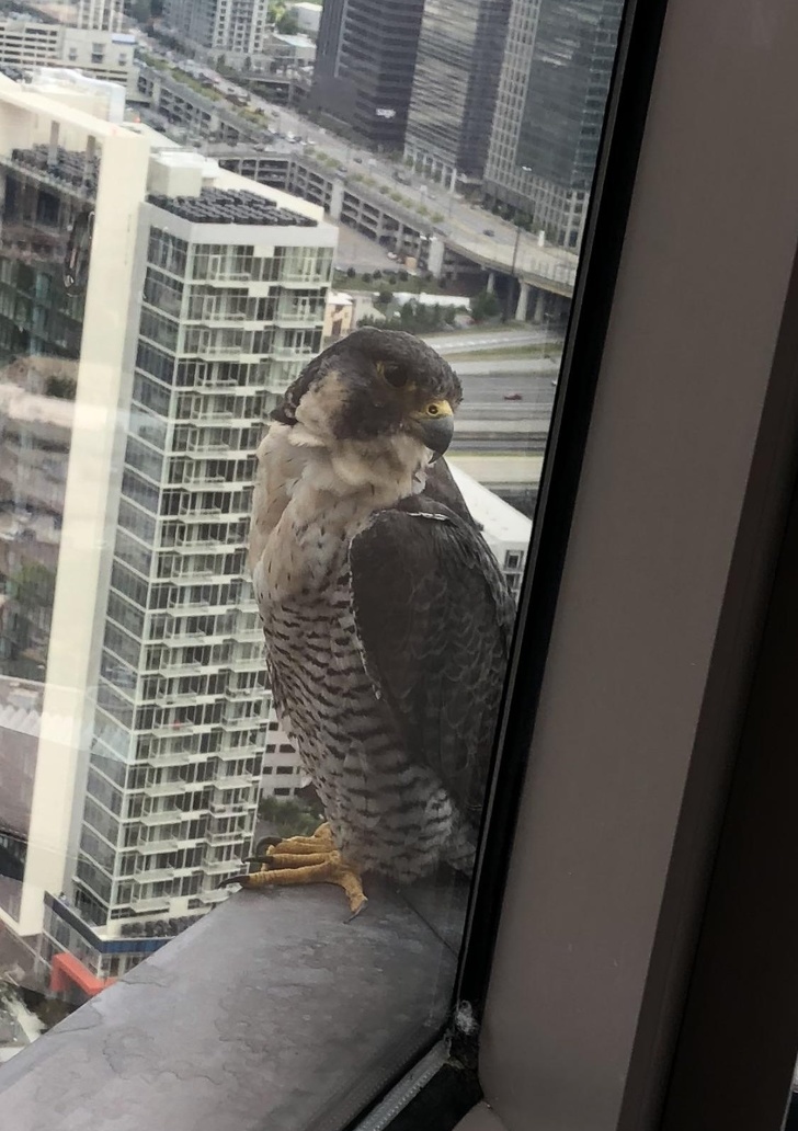 Illustration de l'article : Ces 23 photos montrent qu'on peut découvrir chaque jour de nouvelles choses