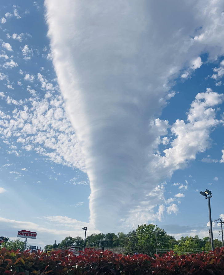 Illustration de l'article : Ces 16 choses inhabituelles créées par la nature