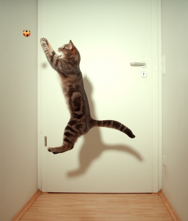 Illustration de l'article : 30 photographies non retouch&eacute;es prises quelques secondes avant une chute in&eacute;vitable