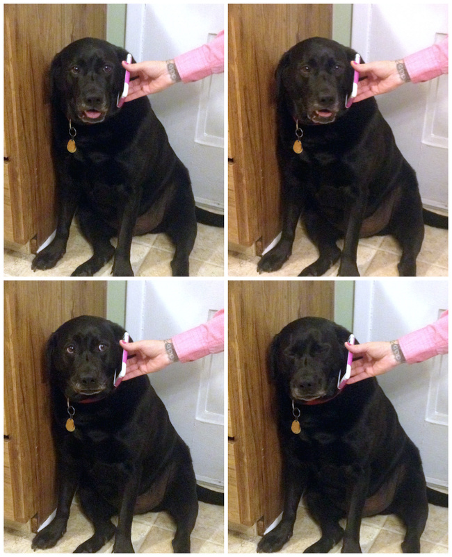 Illustration de l'article : Ces 21 choses bizarres que les humains font tous