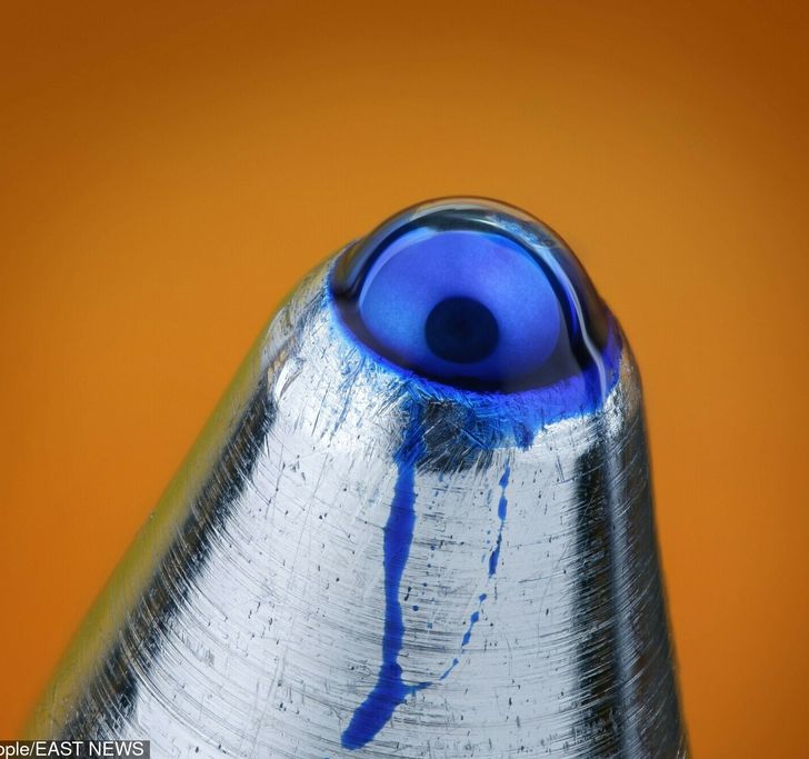 Illustration de l'article : Ces 16 photos vues au microscope pour mieux apprécier les détails