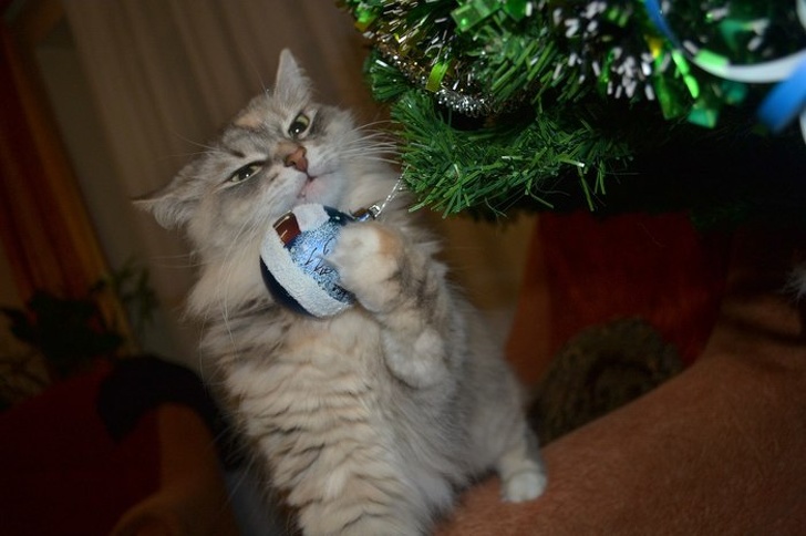 Illustration de l'article : Ces 26 photos qui montrent des situations prises au bon moment