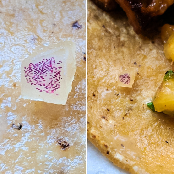 Illustration de l'article : Ces 18 photos parfaites prises à l'instant idéal