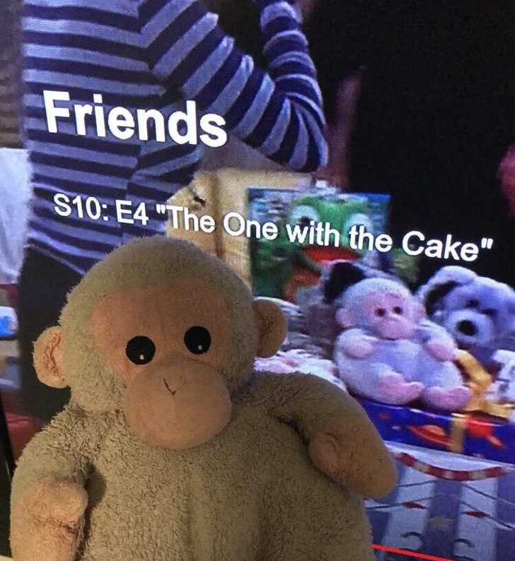 Illustration de l'article : Ces 16 coïncidences et situations qui ne se produisent qu'une seule fois dans une vie