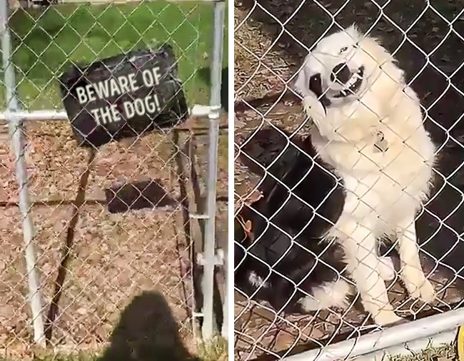 Illustration de l'article : Ces 21 photographies montrent l’absurdité de certaines situations