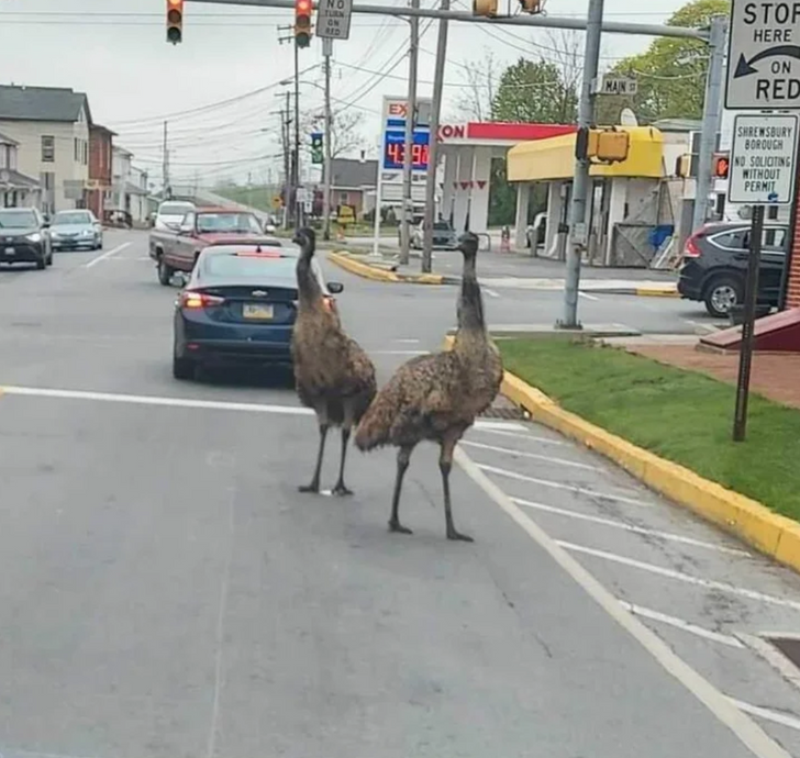 Illustration de l'article : Ces 18 situations qui ne se présentent qu'une seule fois dans une vie