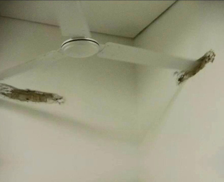 Illustration de l'article : Ces 18 concepteurs qui ont cherché à se moquer des utilisateurs