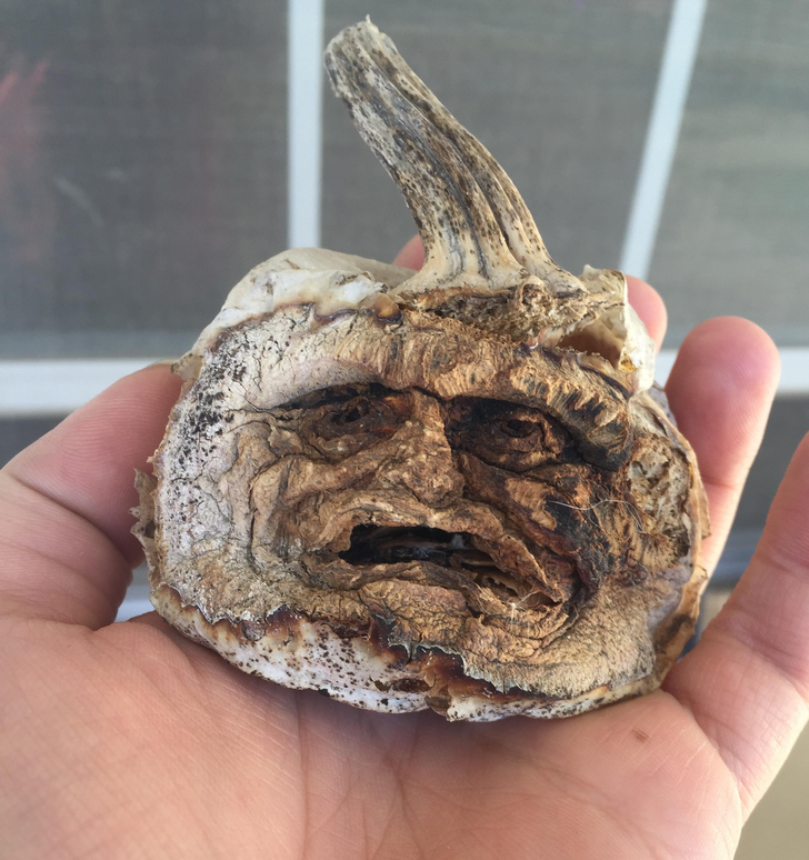 Illustration de l'article : Ces 20 photos qui illustrent le passage du temps