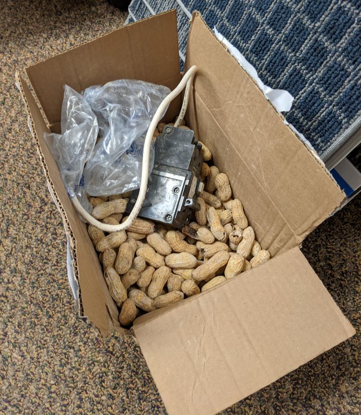 Illustration de l'article : Ces 18 personnes qui ont été récompensées par la chance