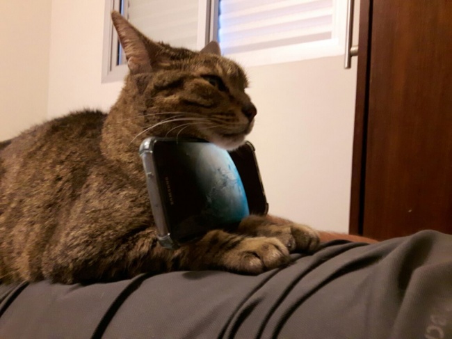 Illustration de l'article : 30 personnes que vous ne pourrez jamais égaler au jeu du système D