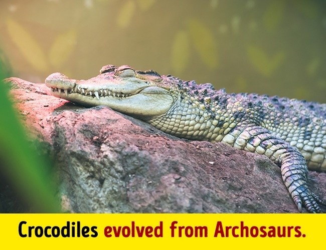 Illustration de l'article : 10 faits surprenants concernant la plan&egrave;te qui vont vous &eacute;tonner 