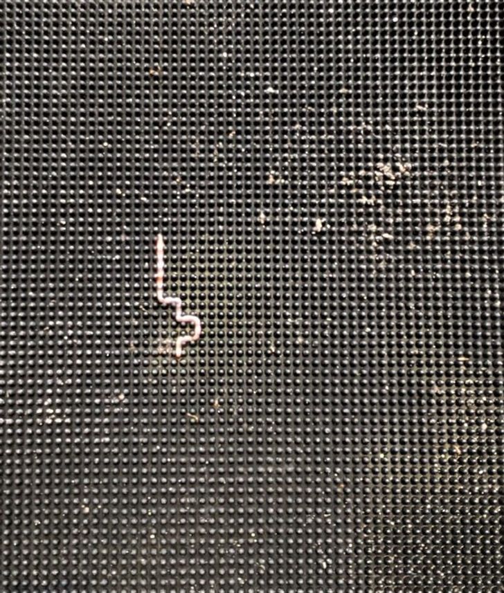 Illustration de l'article : Ces 19 découvertes insolites en tout genre