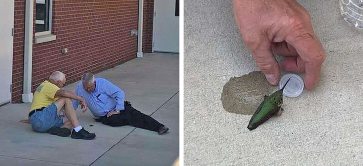 Illustration de l'article : Ces 17 photos qui montrent la générosité de l'être humain