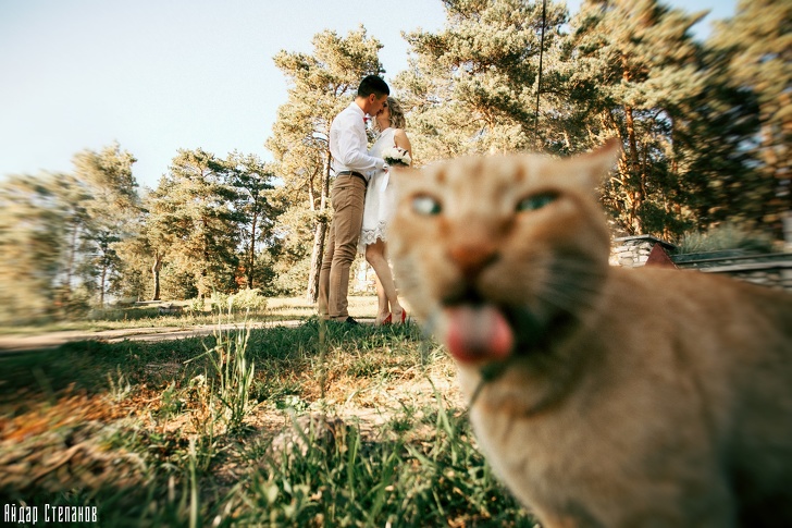Illustration de l'article : Ces 25 moments gênants qui ressortiront au prochain repas de famille 