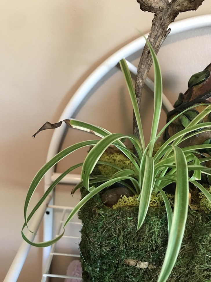 Illustration de l'article : Ces 16 photos d'objets qui rendent le quotidien plus pratique