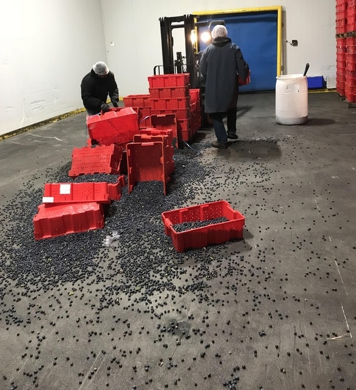 Illustration de l'article : Ces 22 photos de personnes pas forcément les plus chanceuses