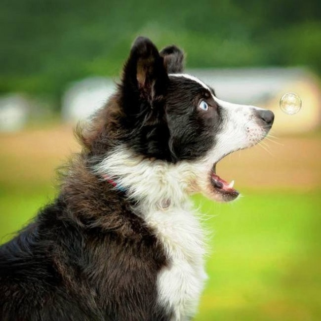 Illustration de l'article : 32 photographes qui ont magnifiquement réussi à suspendre le temps !