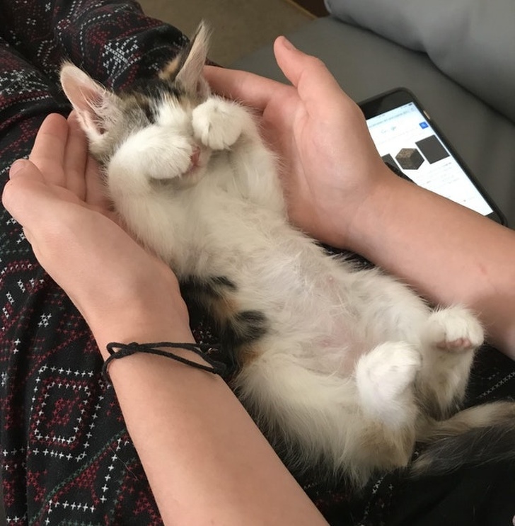 Illustration de l'article : Ces 18 photos qui représentent un souvenir émouvant vécu par ces personnes