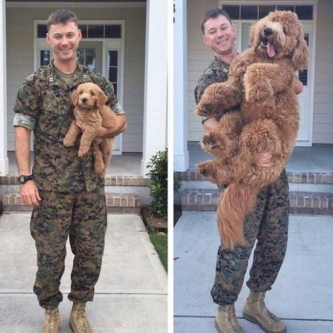 Illustration de l'article : 14 photos qui montrent toute la puissance du temps