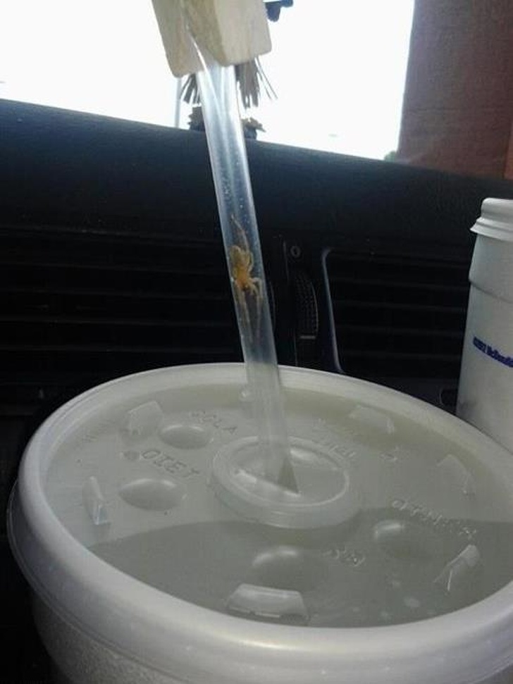 Illustration de l'article : Ces 20 photos qui donnent le frisson