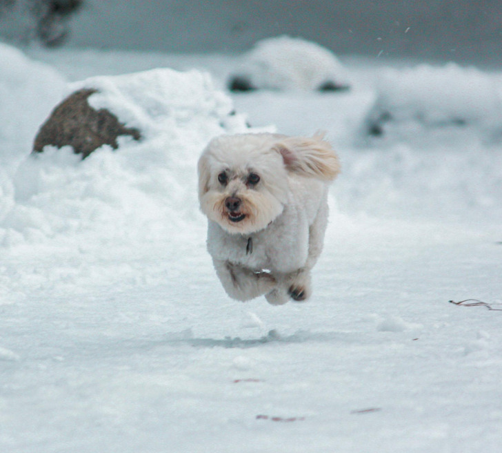 Illustration de l'article : Ces 17 photos prises au bon moment au bon endroit