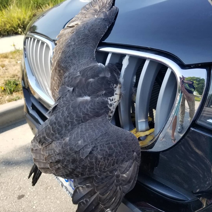 Illustration de l'article : Ces 17 photos qui offrent une montée d'adrénaline