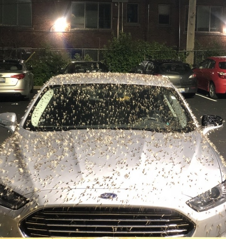 Illustration de l'article : Ces 13 photos qui montrent ce que c'est que d'avoir la poisse