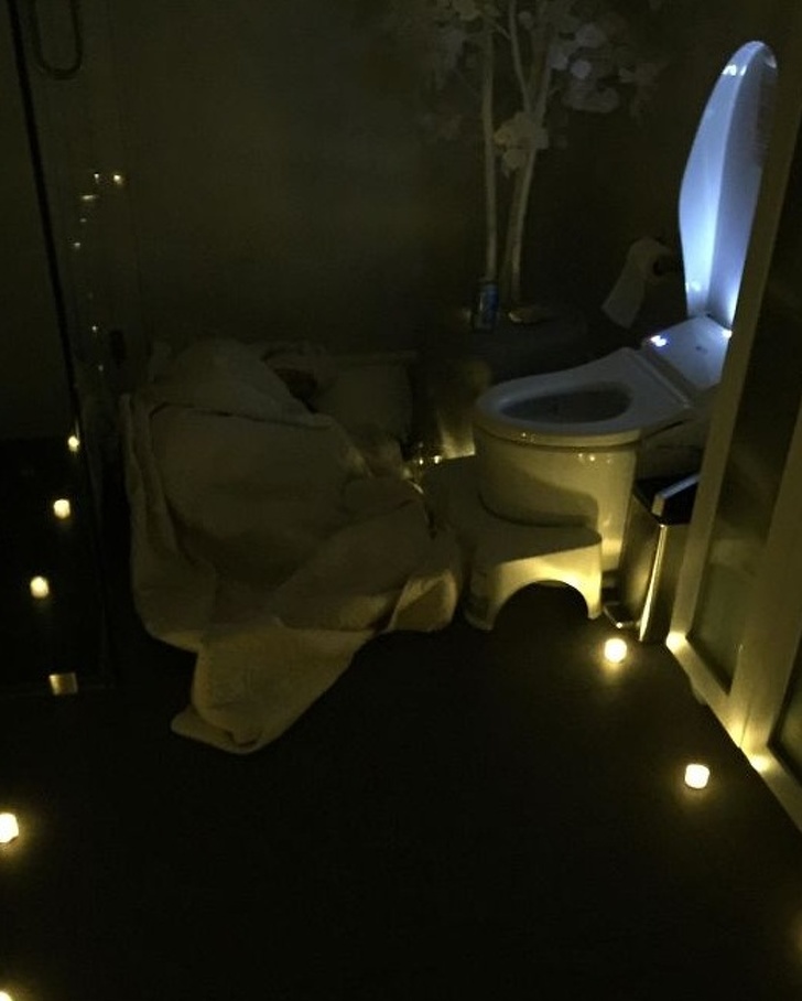 Illustration de l'article : Ces 22 compagnons qui ont tout du gentleman parfait