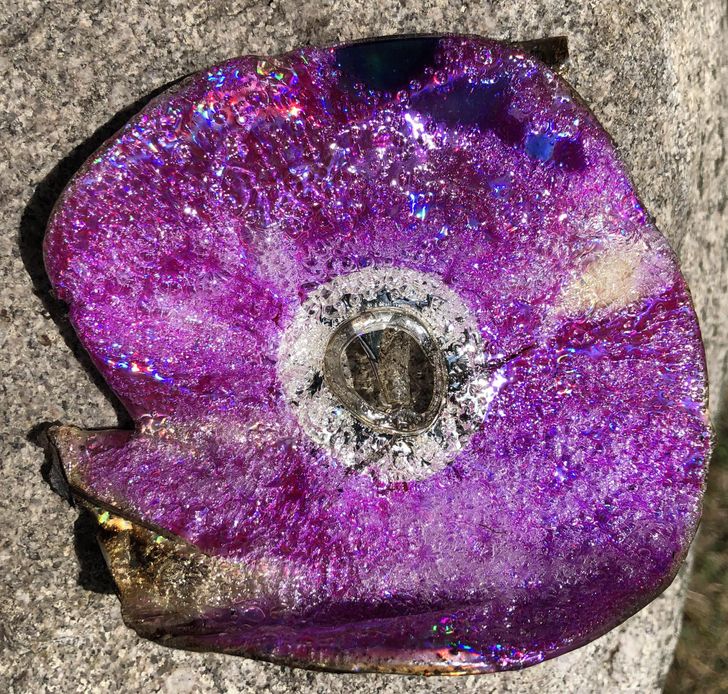 Illustration de l'article : Ces 20 personnes qui ont fait de bonnes trouvailles